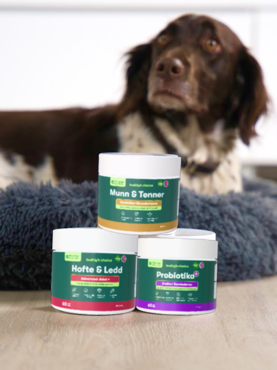 Tre grønne Buddys Choice hundetilskud: Mund & Tænder, Hofte & Led og Probiotika med brun-hvid hund i baggrunden