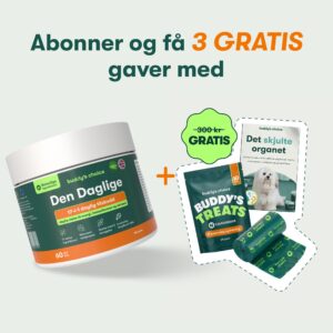 Den Daglige