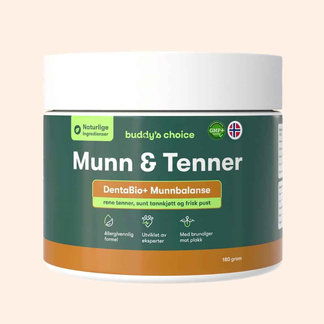 Munn & Tenner