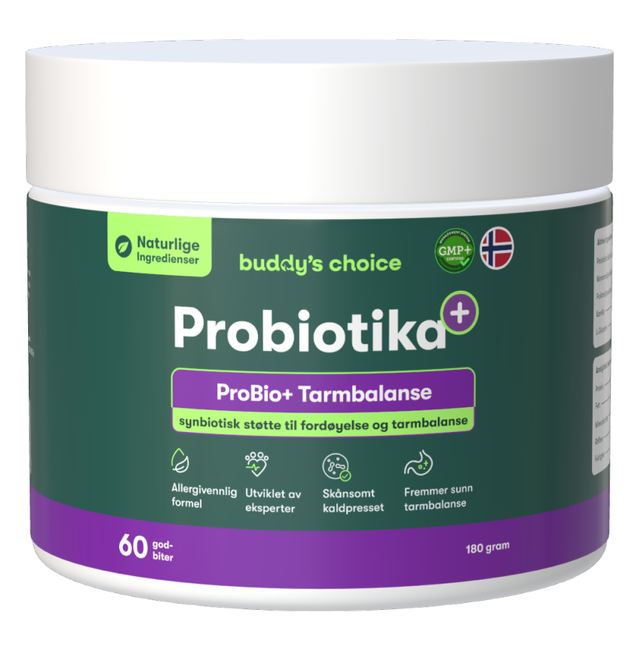 Buddys Choice Probiotika krukke, 60 godbidder, naturlige ingredienser - fremmer sund fordøjelse og tarmbalance