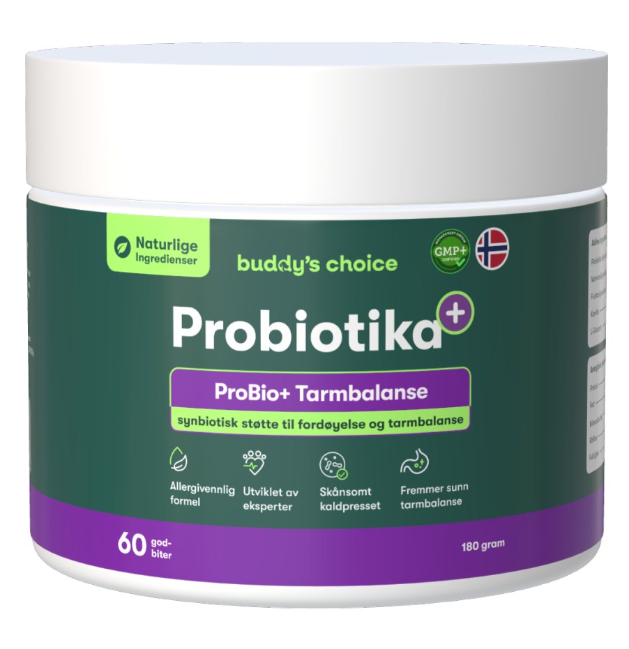 Buddy's Choice Probiotika bøtte med 60 godbidder, fremmer sund fordøjelse og tarmbalance