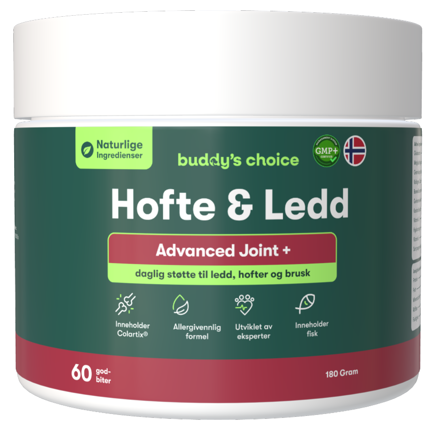 Buddy's Choice Hofte & Led kosttilskud i grønt bæger, 60 godbidder, fremmer komfort og smidige, sunde led