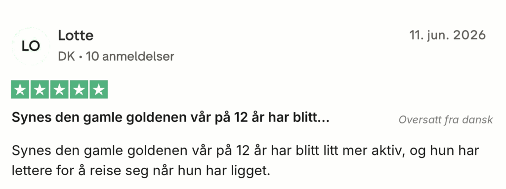 Femstjernet anmeldelse fra Lotte: vores 12-årige golden er blevet mere aktiv og rejser sig nemmere
