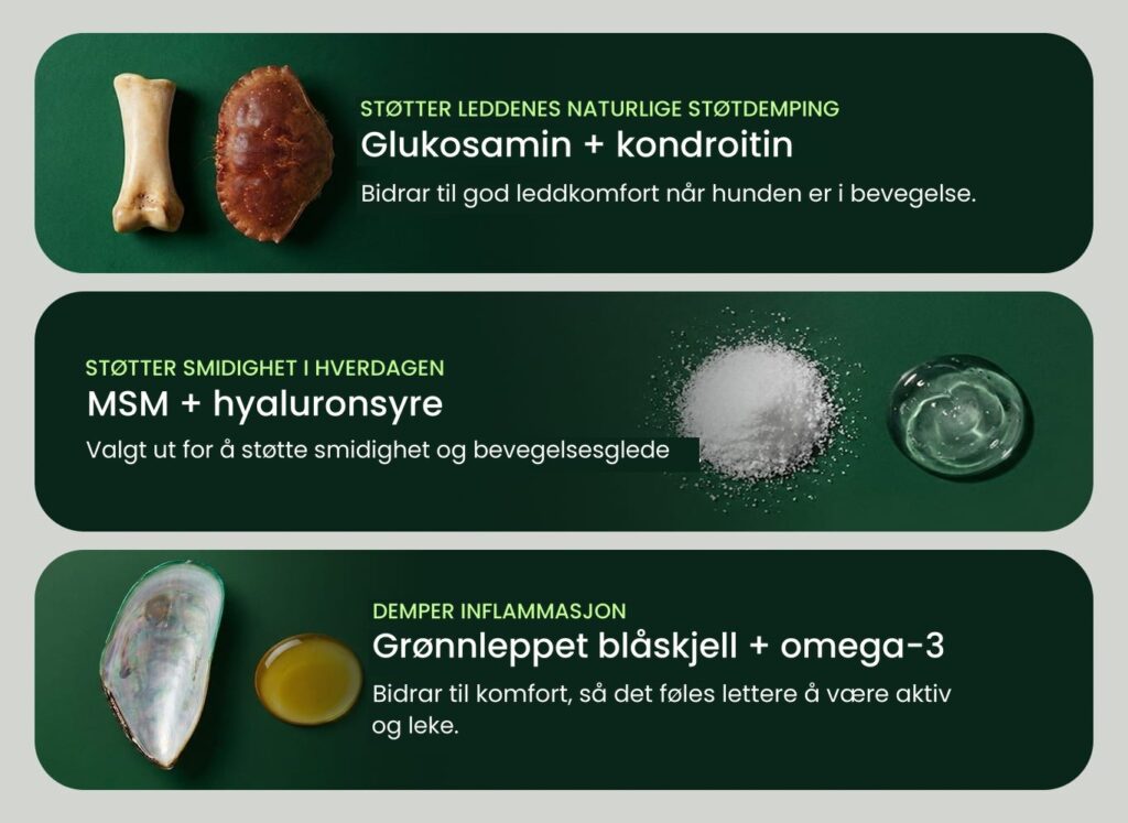 Tre grønne paneler med ledtilskudsingredienser: glucosamin/chondroitin, MSM/hyaluronsyre og grøn-læbet musling med omega-3