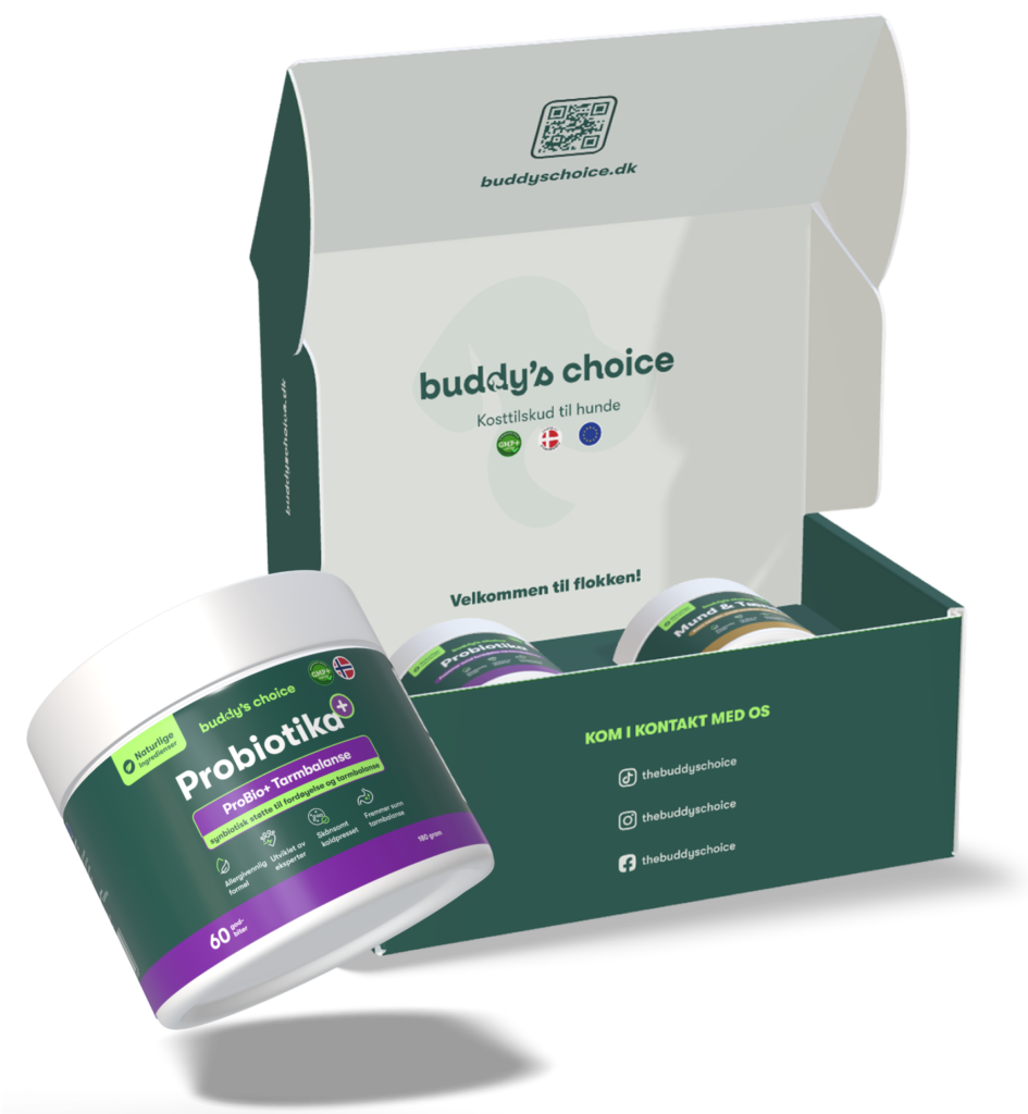 Åben Buddy's Choice-æske med probiotika til hunde og fremhævet Probiotika-bøtte i forgrunden