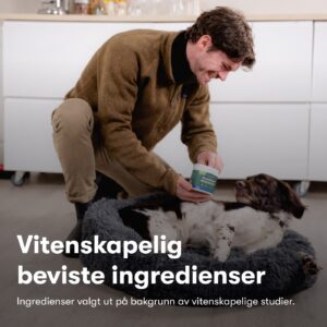 Analkjertel
