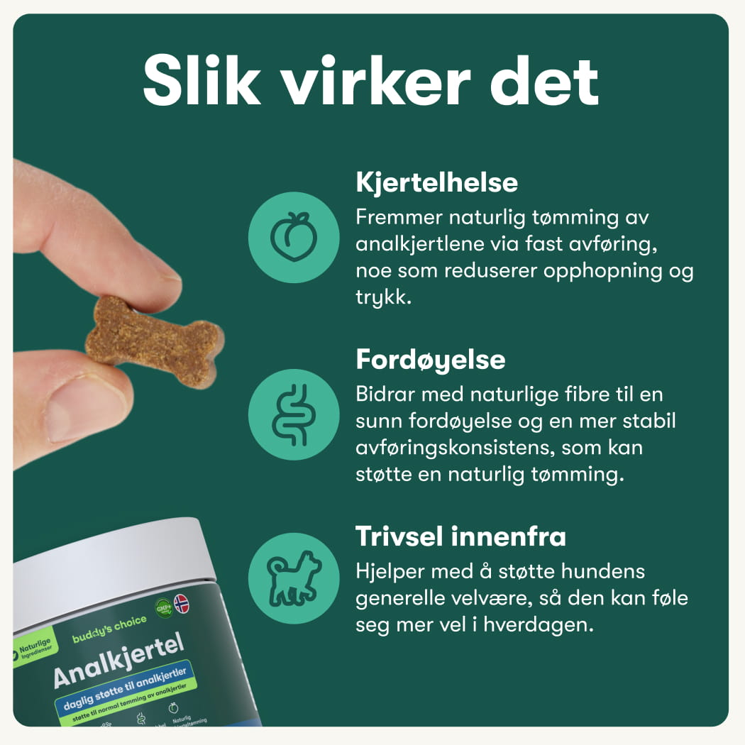 Analkjertel