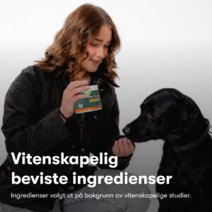 Den Daglige