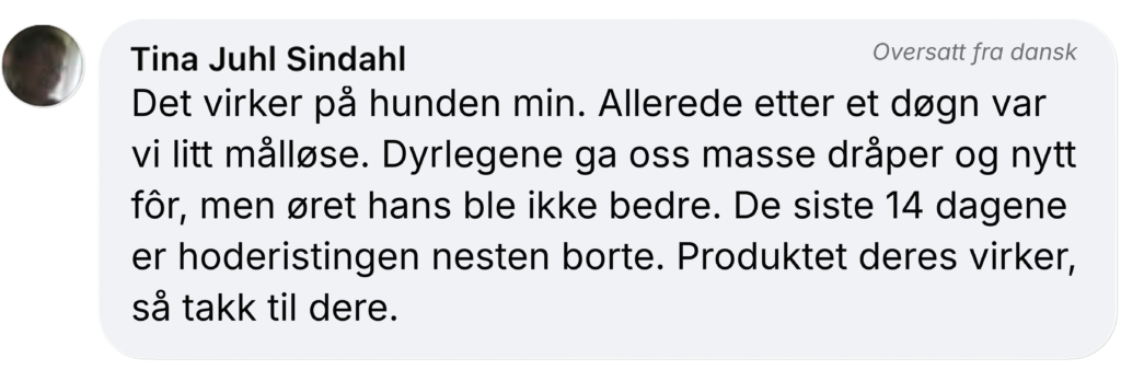 Dansk kundeudtalelse: produkt hjalp hundens øreproblemer og næsten fjernede hovedrysten efter 14 dage