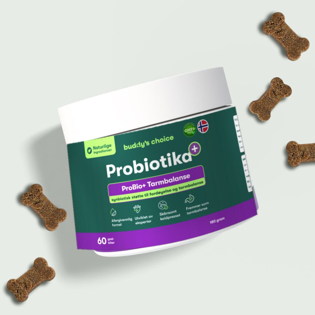 Beholder med Probiotika til hunde ProBio+ tarmbalance, grøn etiket og knogleformede godbidder omkring