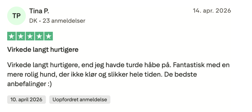 Femstjernet anmeldelse fra dansk bruger: Virkede langt hurtigere, roligere hund uden kløe og slikning