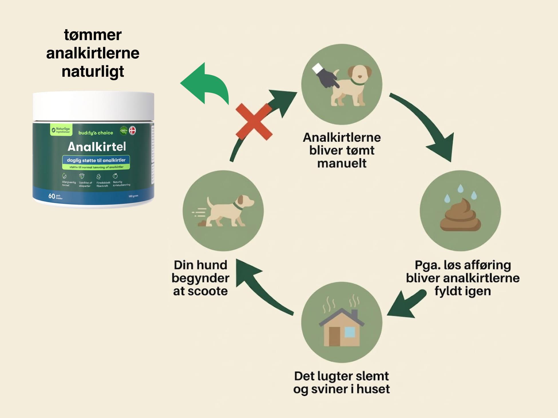 Grøn beholder med analkirtel-tilskud ved siden af infografik om hund, scooting, afføring og lugt