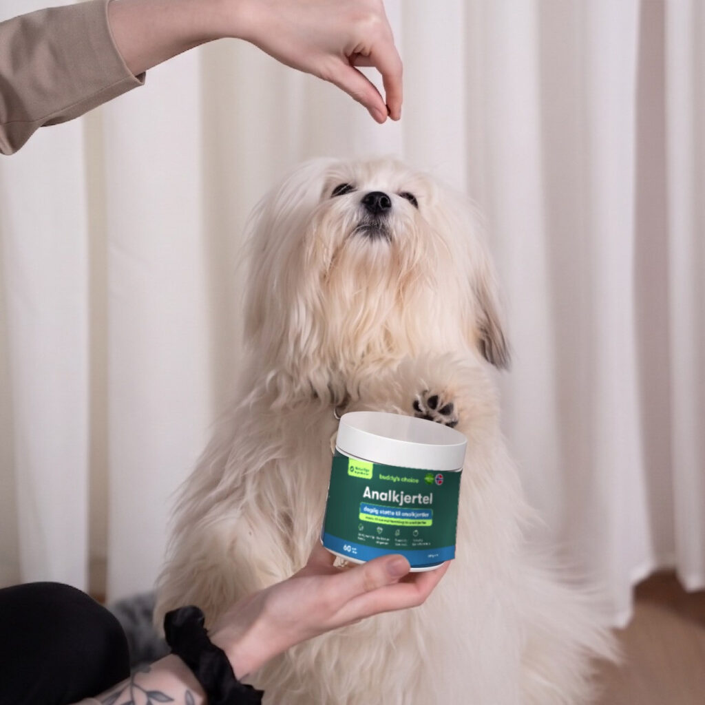 Langhåret hvid hund sidder på bagben, løfter pote mod en hånd, person holder en bæger med tekst Analkirtel.