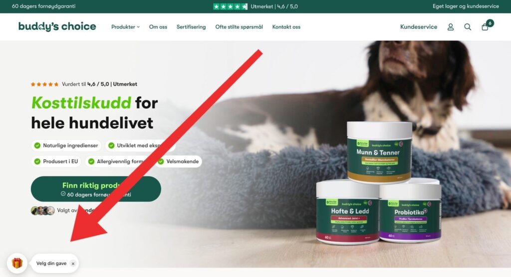 Buddy's Choice-forsiden med tre bokser hundetilskudd foran en sovende hund og en stor rød pil