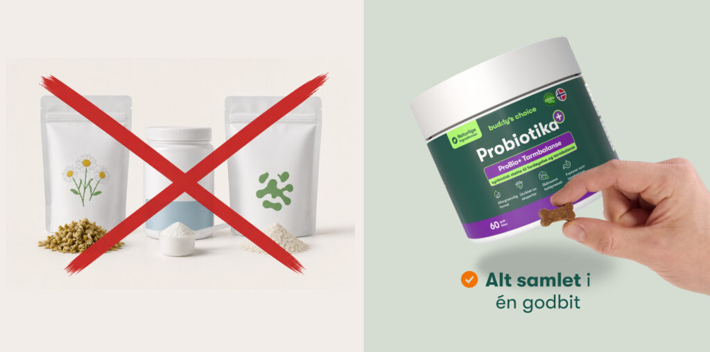 Probiotika-beholder og hånd med godbid, rødt kryds over poser med pulver