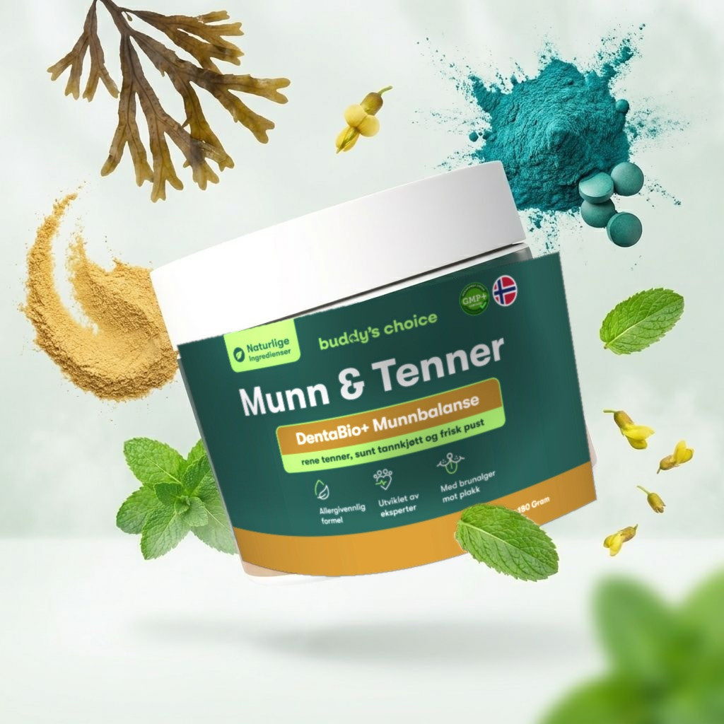Beholder med Mund & Tænder pulver, omgivet af mynteblade, alger og farvede pulveringredienser