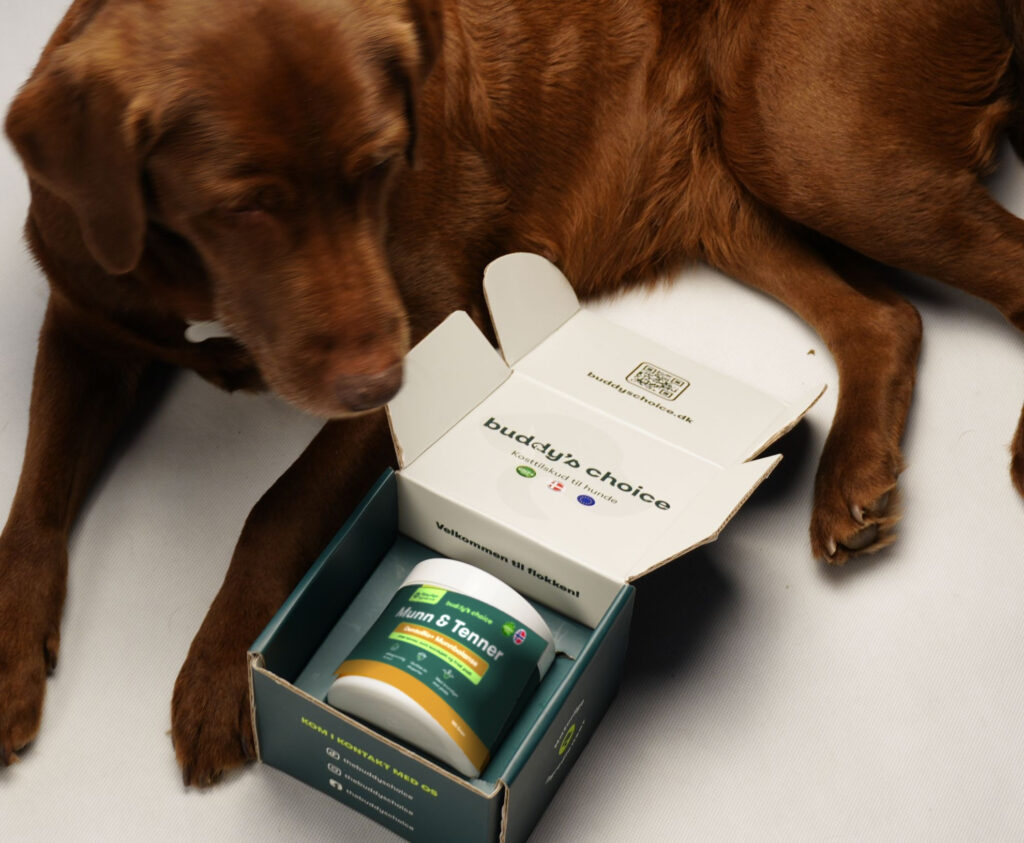 Brun hund ligger ved en åben æske med kosttilskud mærket Buddy's Choice
