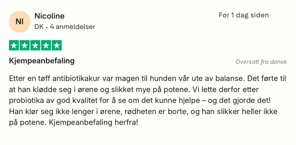 Anmeldelse: 5 stjerner - anbefaler probiotika til hund efter antibiotika; kløe og rødme i ører og slikning af poter forsvandt