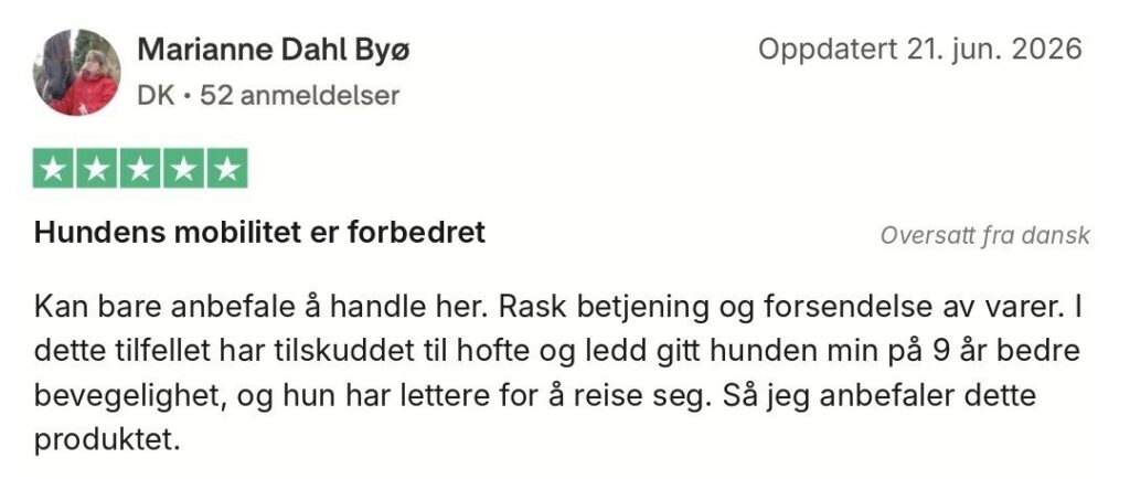 Dansk femstjernet anmeldelse af hofte- og ledsupplement, som forbedrede mobiliteten hos en 9-årig hund.