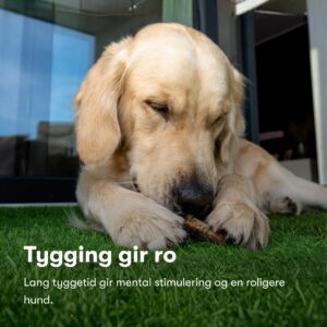 Hundesnacks av kaninskinn