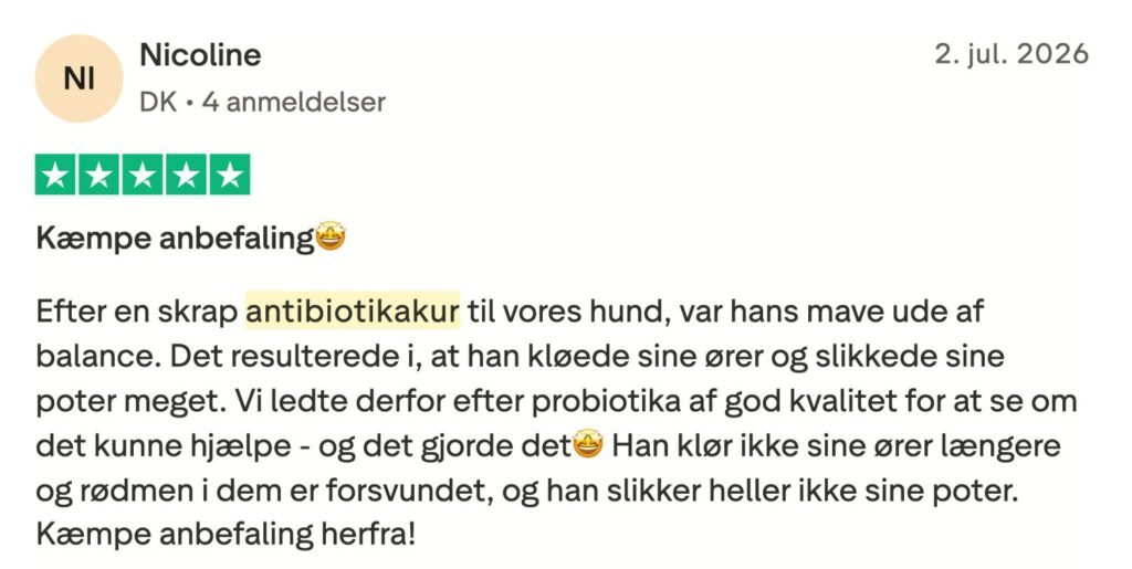 5-stjernet kundeanmeldelse: anbefaler probiotika efter antibiotikakur til hund, kløe og rødme forsvandt