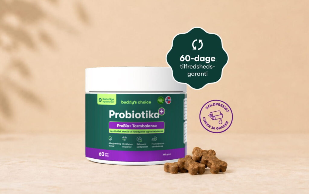Grøn beholder med Probiotika ProBio+ tarmbalance og knogleformede hundegodbidder, 60-dages tilfredshedsgaranti