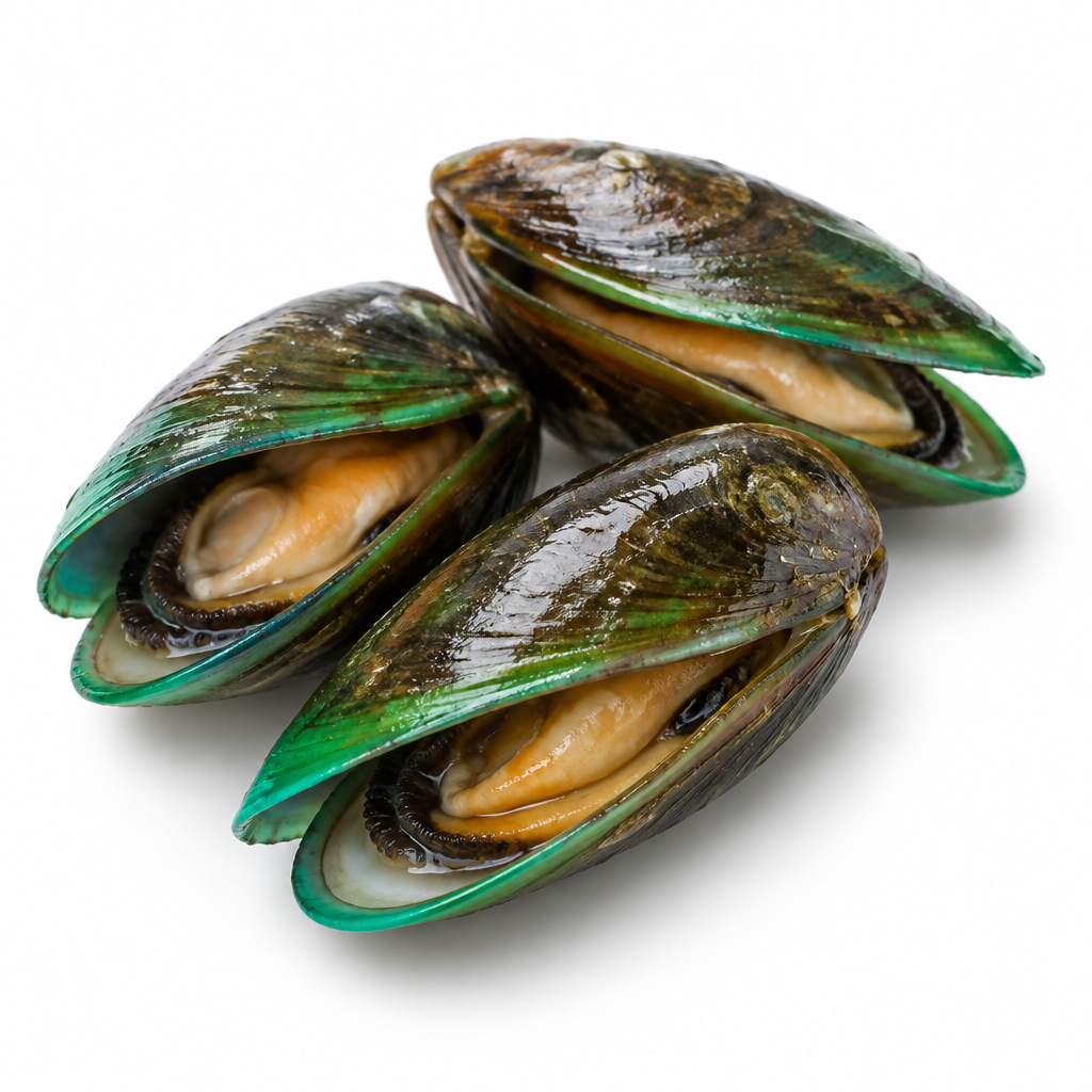 Grønlæbede muslinger fra New Zealand (Perna canaliculus)