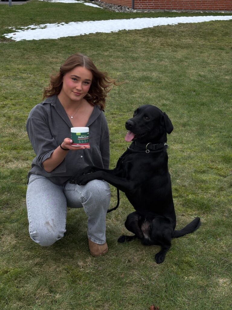Kvinde og sort labrador med Hofte & Led