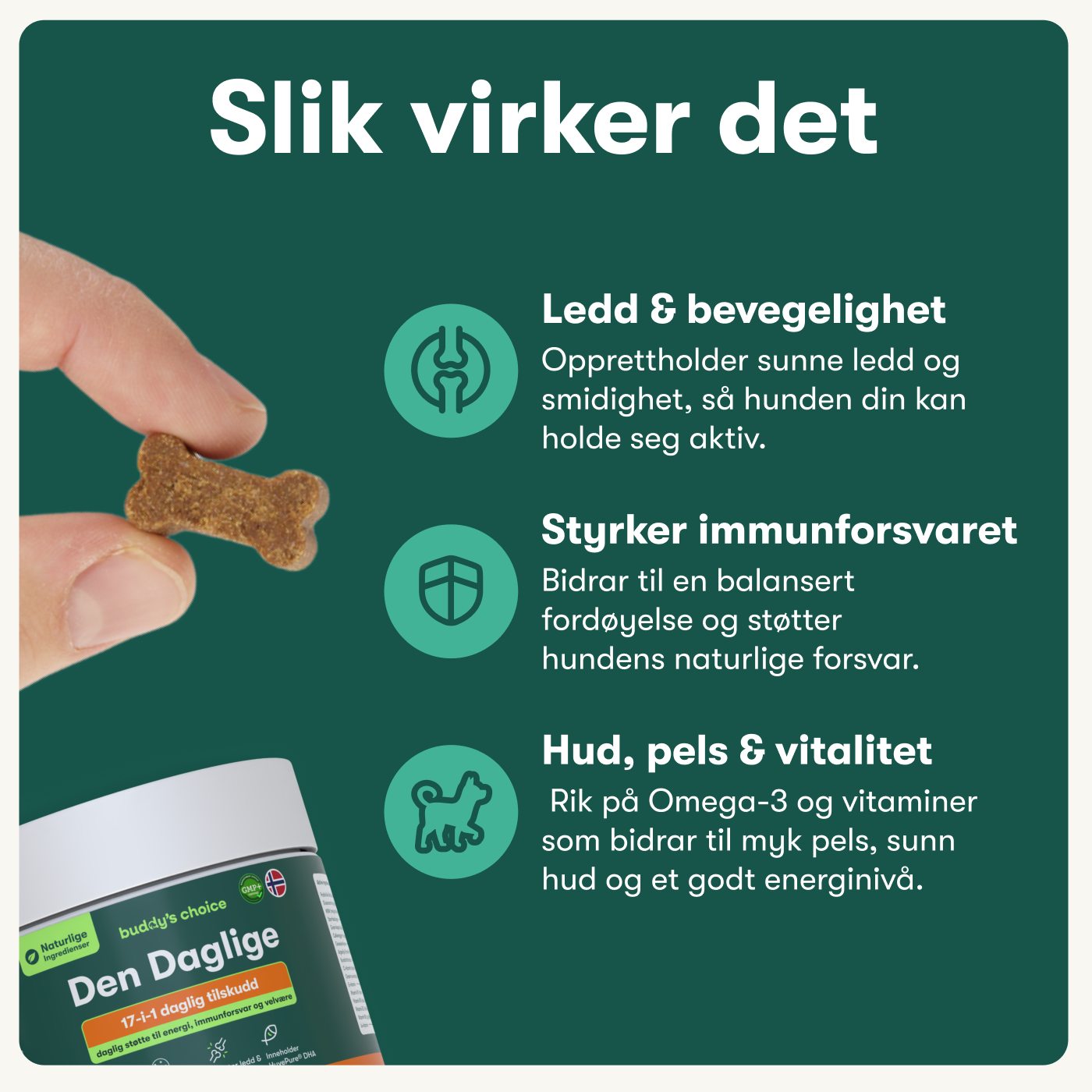 Den Daglige
