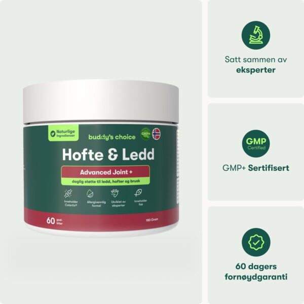 Buddy's Choice Hofte & Ledd